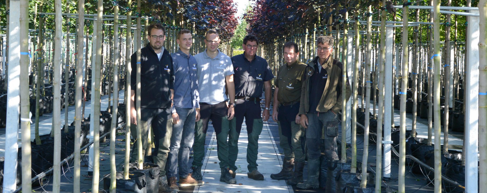 The part can never be well unless the whole is well